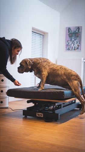 Coaching comportemental positif