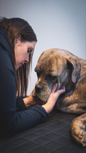 Coaching en environnement familier