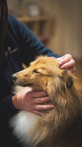 Coaching comportemental en action