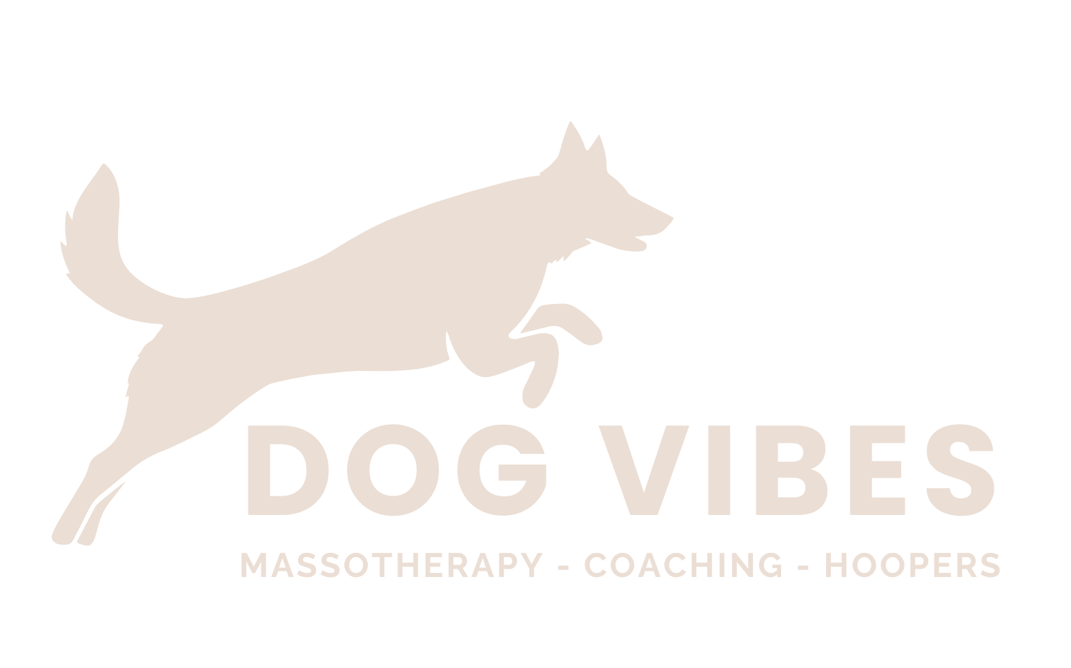Dog Vibes Logo